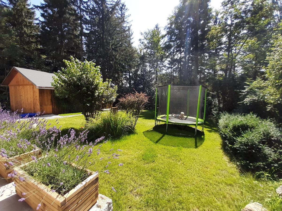 Apartamenty Przy Swierku Szklarska Poreba Exterior photo